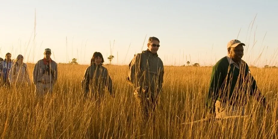 A guided walking safari