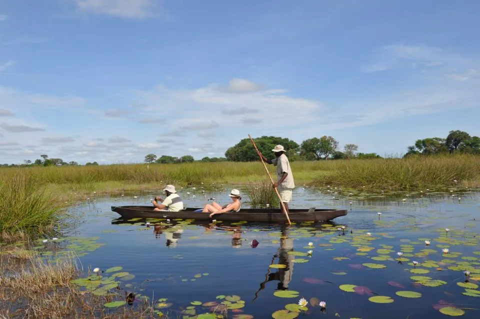 A seasonal mokoro safari