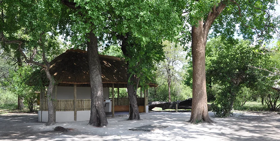 A private campsite beneath the trees