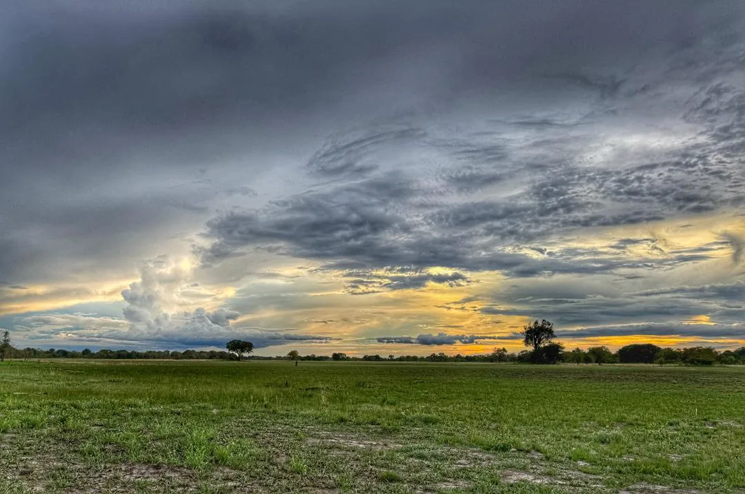 Dramatic clouds over the open Linyanti grasslands