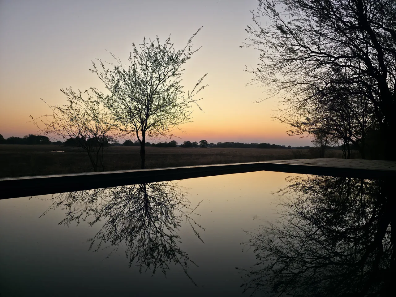 Sunset over the wetlands reflected in the camp’s cocktail pool