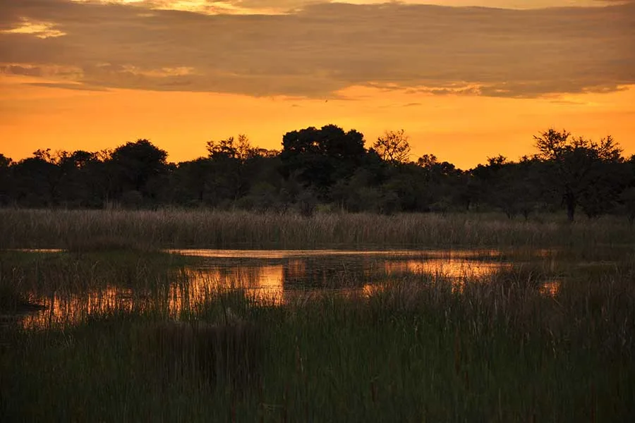Sunset over the floodplain
