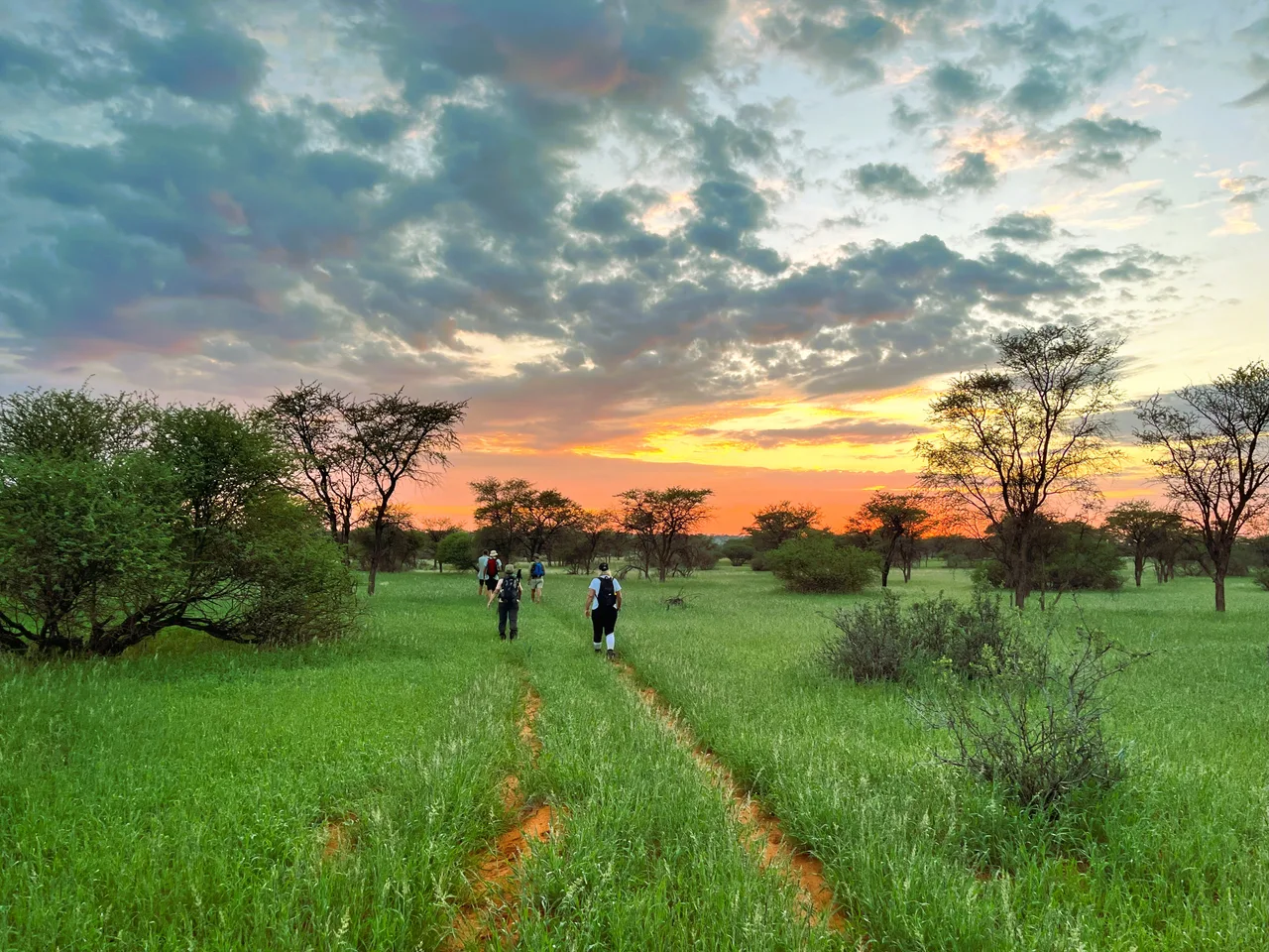 Hikers in the wilderness at sunrise