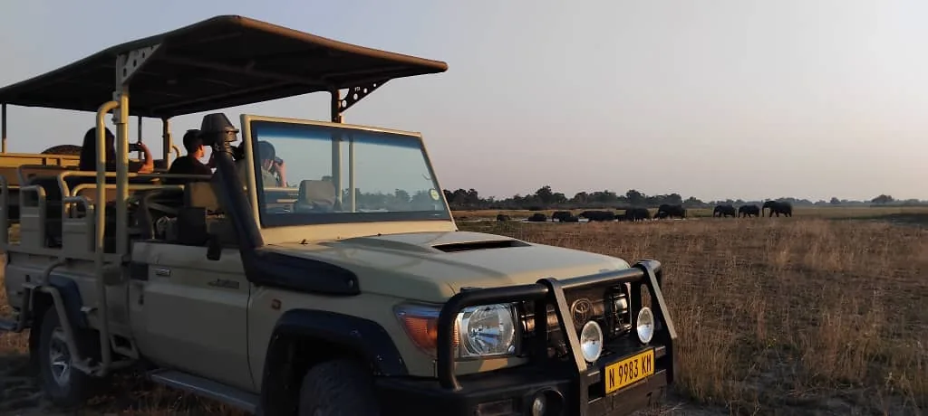 Livingstone’s Camp game-drive vehicle with guests watching elephants on the floodplain