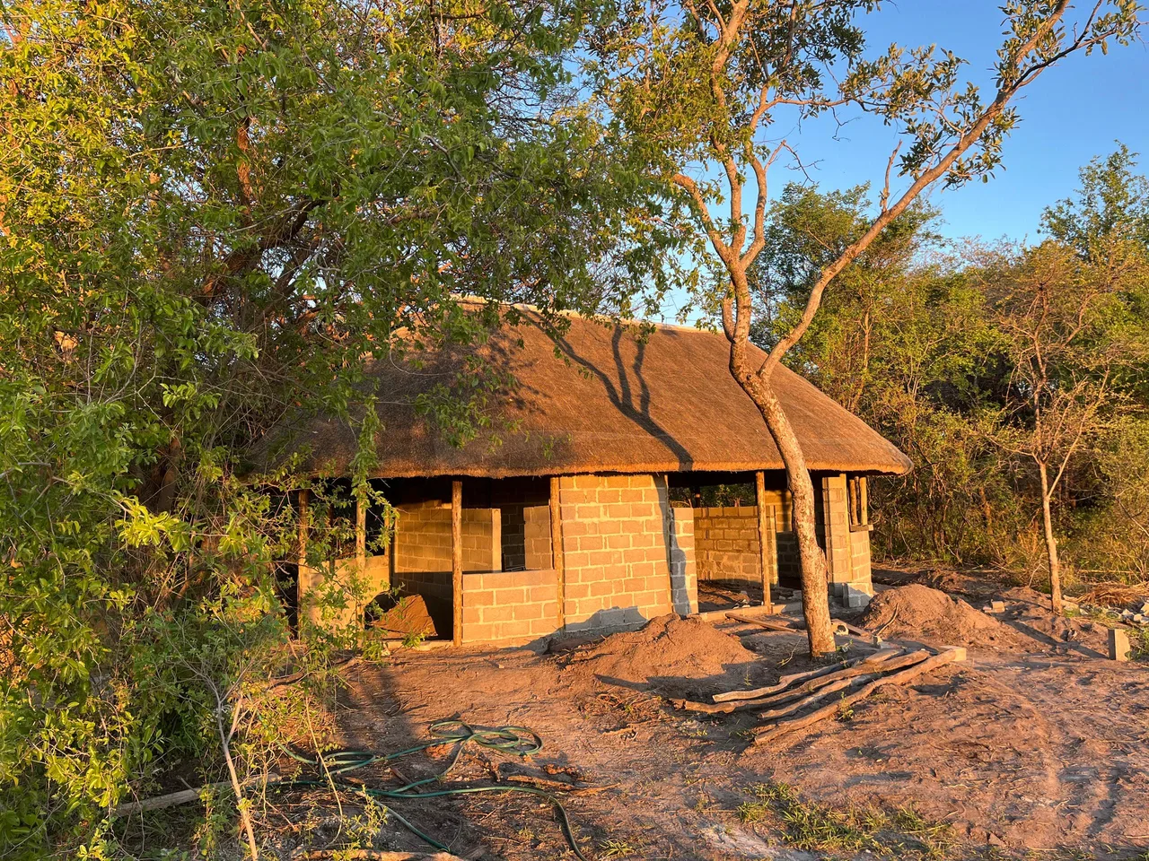 The self-catering chalet taking shape among the trees