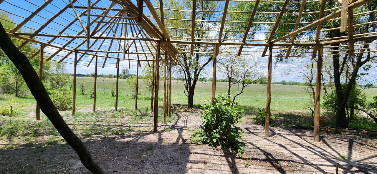 Building the main area